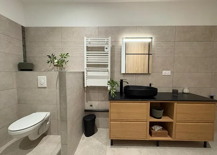 Apartament L'atelier Du - F2 Centre-ville Avec Cour *